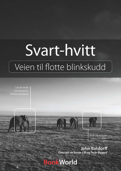 Sort-hvitt - Veien til flotte blinkskudd
